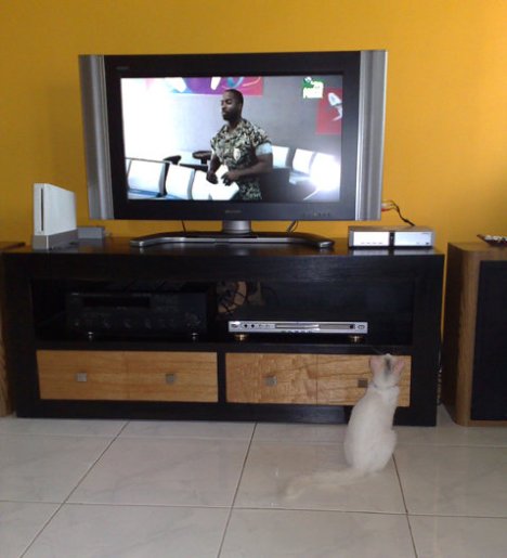 Itsuki's watchin' MTV 
